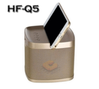 Parlante Bluetooth HF-Q5