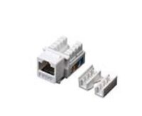 Jack ReguVolt RJ45 Cat 6 (RV-JACK-6)