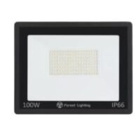 Reflector LED 100W 6500K Forest Lighting (WY20-07-100)