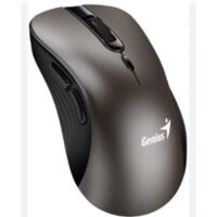 Mouse Inalambrico Genius Ergo 8100S Champagne Titaniun